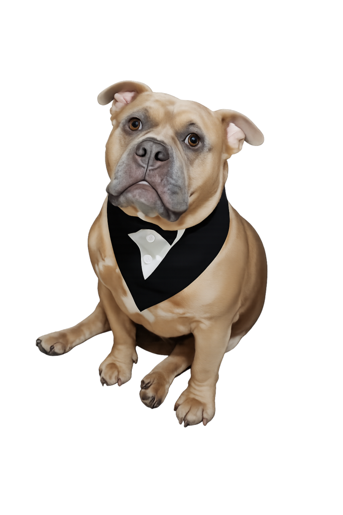 Bruno